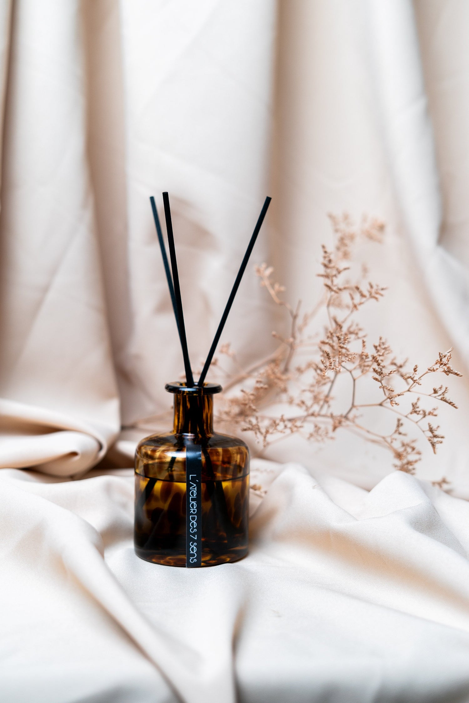 House & home collection